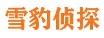 伍家岗市婚外情调查